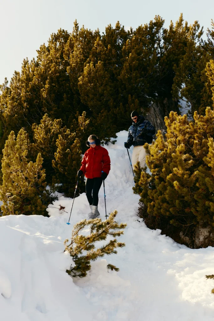 Two hikers with poles walk up a snow-covered path through pine trees.