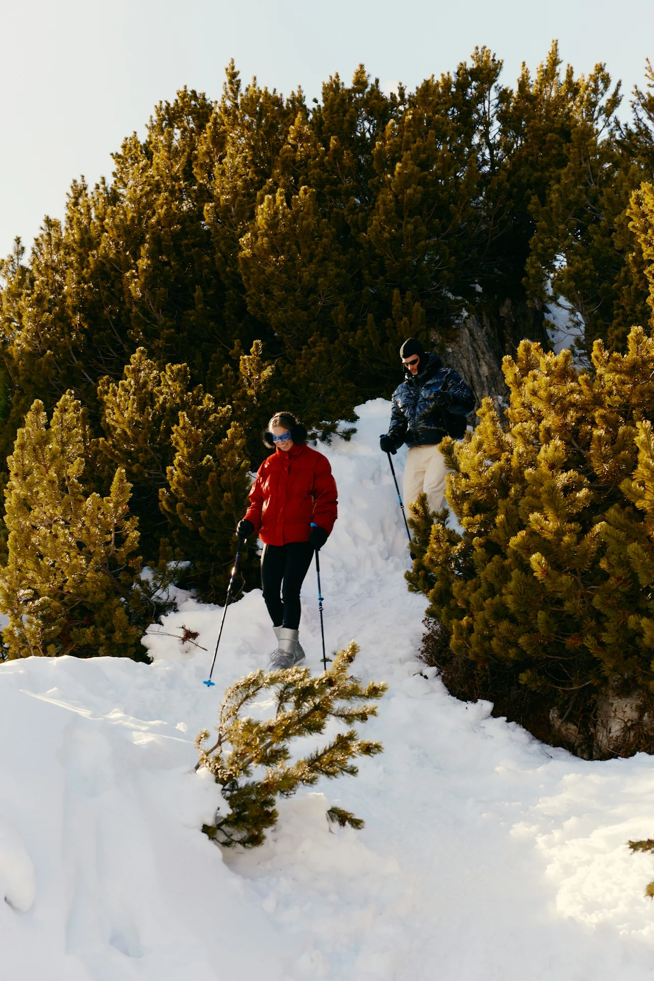 Two hikers with poles walk up a snow-covered path through pine trees.