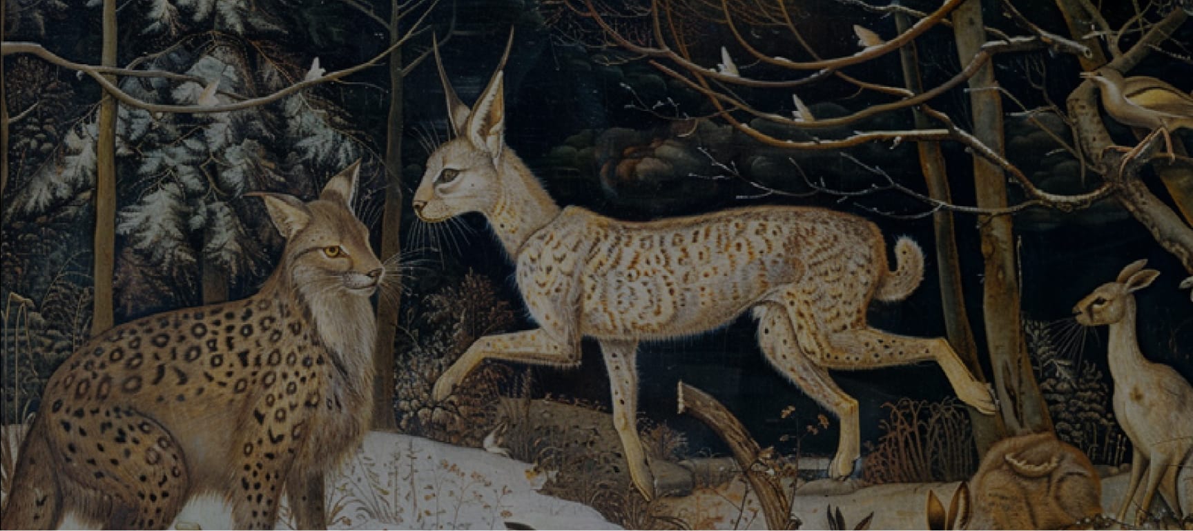 mythical creatures in a forest